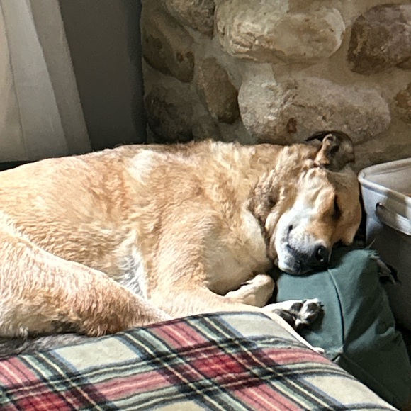 TAG LIST - Picture 5 of 12